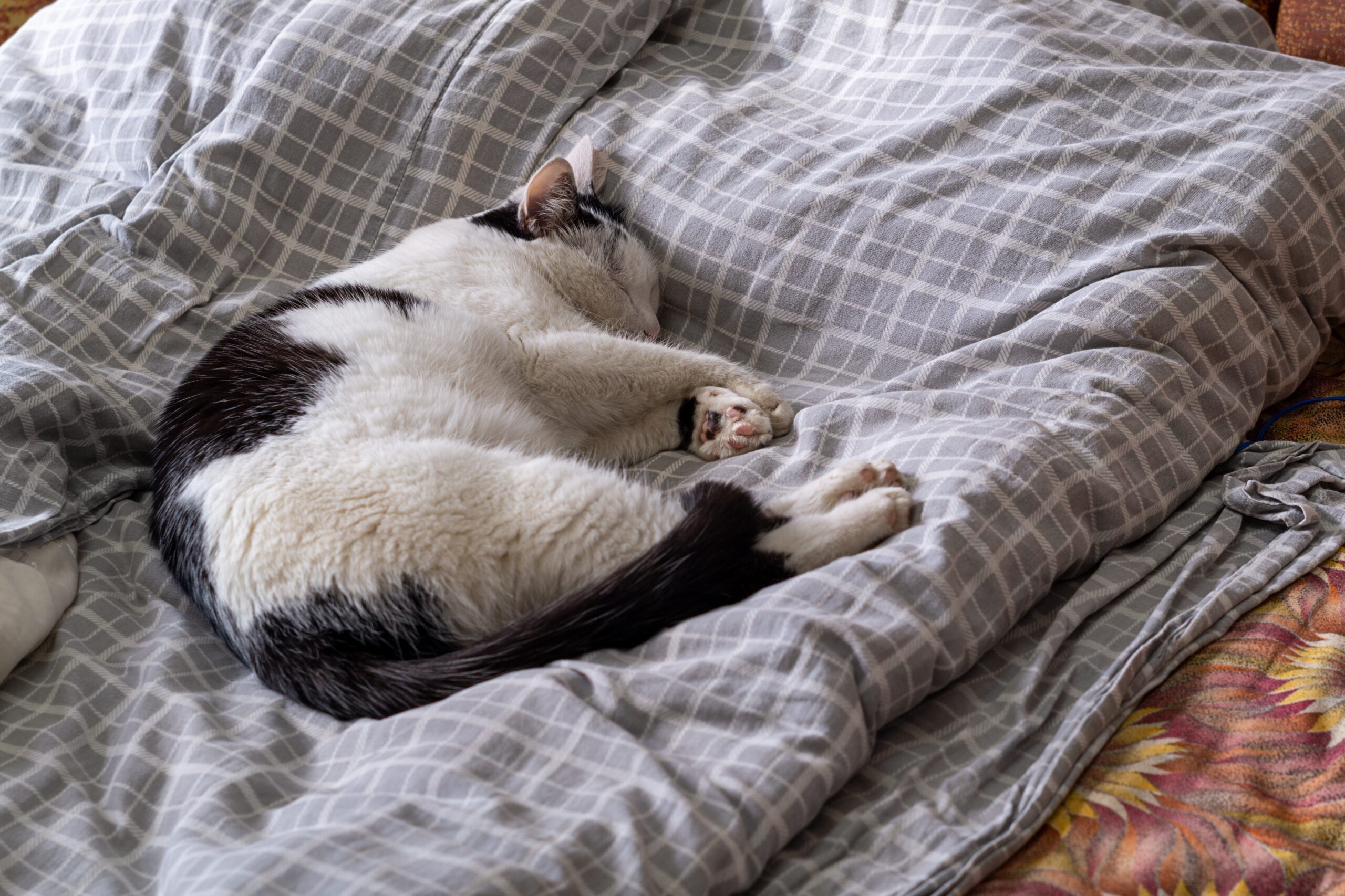 安らかにおやすみできるように安置