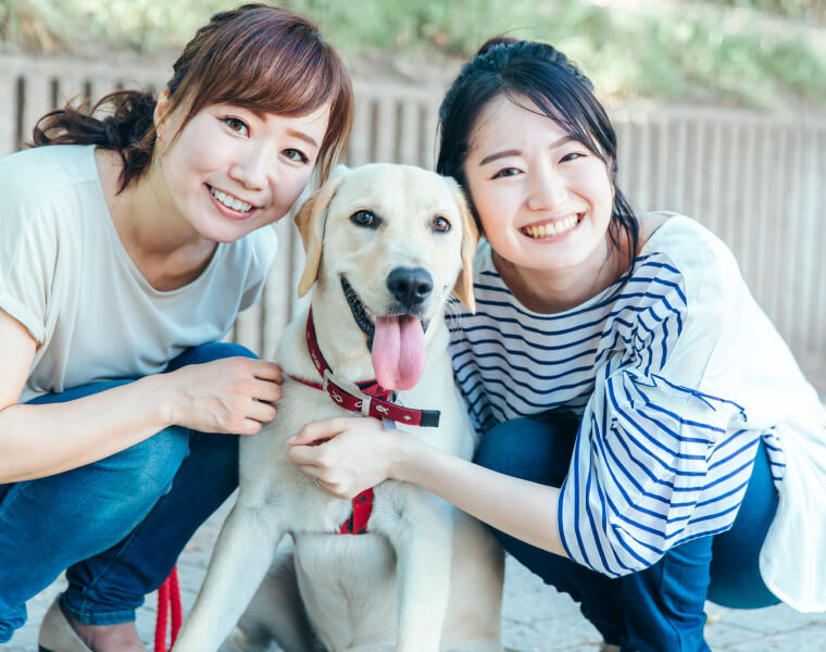 お立ち会いプラン